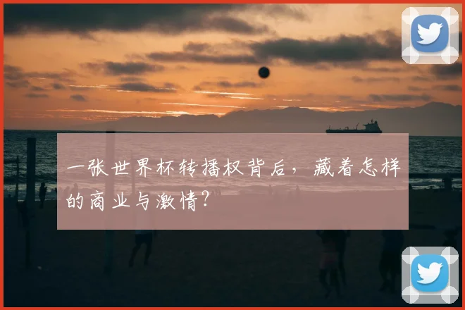 一张世界杯转播权背后，藏着怎样的商业与激情？