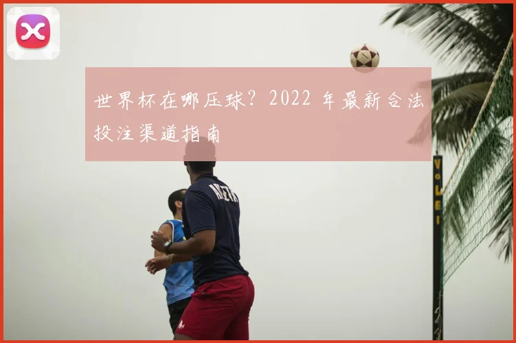 世界杯在哪压球？2022 年最新合法投注渠道指南