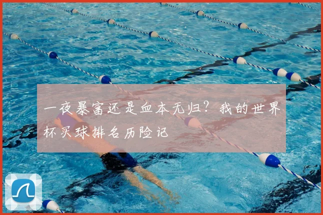 一夜暴富还是血本无归？我的世界杯买球排名历险记