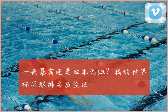 一夜暴富还是血本无归？我的世界杯买球排名历险记