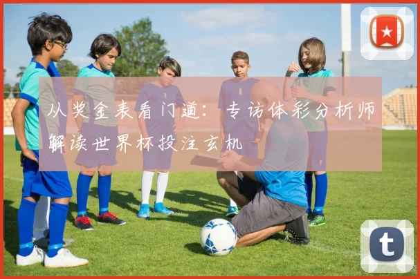 从奖金表看门道：专访体彩分析师解读世界杯投注玄机