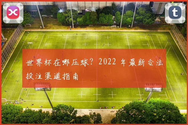 世界杯在哪压球？2022 年最新合法投注渠道指南