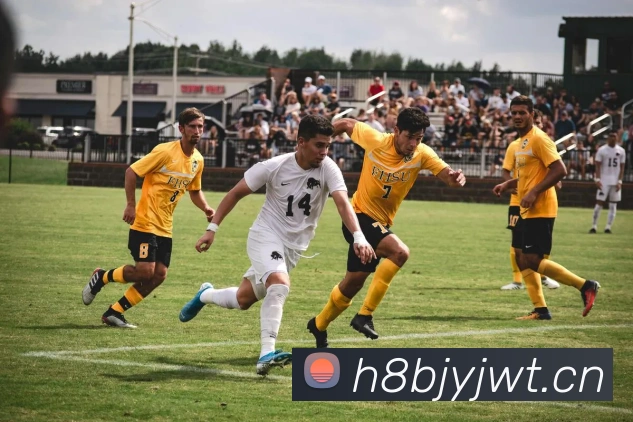 App Interface Preview