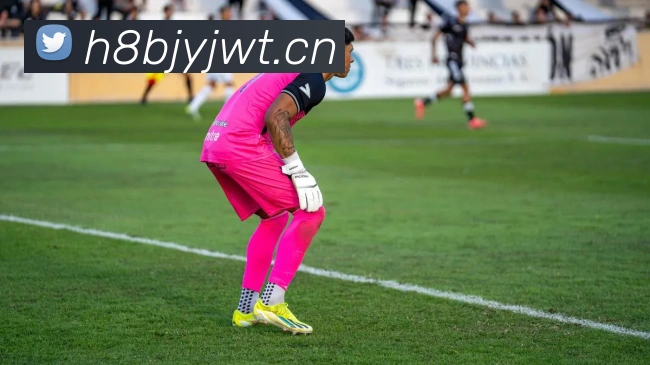 云开体育app官网入口appAPP 封面图